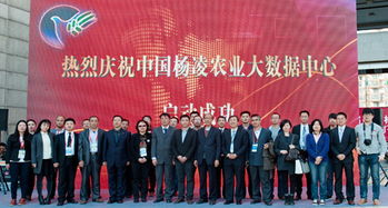 北京電子信息職業(yè)教育集團(tuán) 打造產(chǎn)教融合新生態(tài)，賦能教育信息服務(wù)升級(jí)